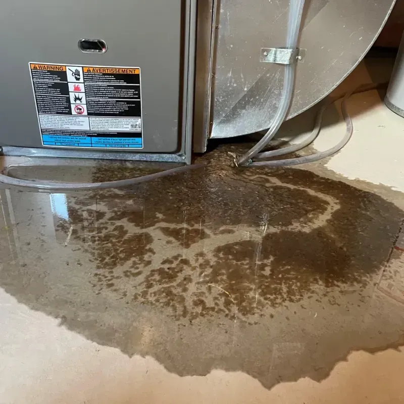 Appliance Leak Cleanup in Bowbells, ND